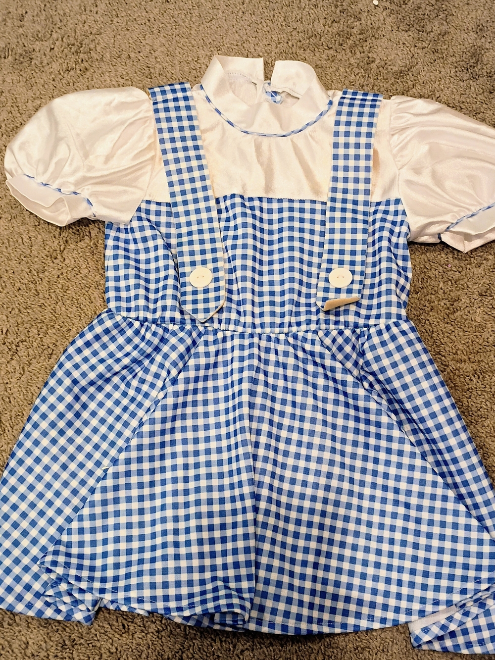 Dorothy Kid's Costume
